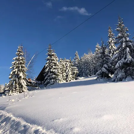 Shepit Lisu Rosokhach