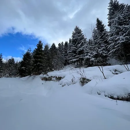 Shepit Lisu Vakantiehuis Rosokhach