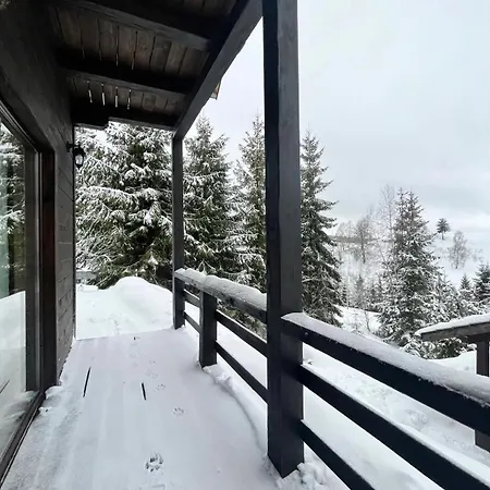 Shepit Lisu Rosokhach