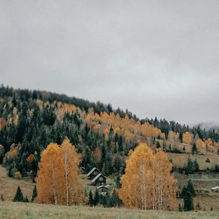 Shepit Lisu * Rosokhach