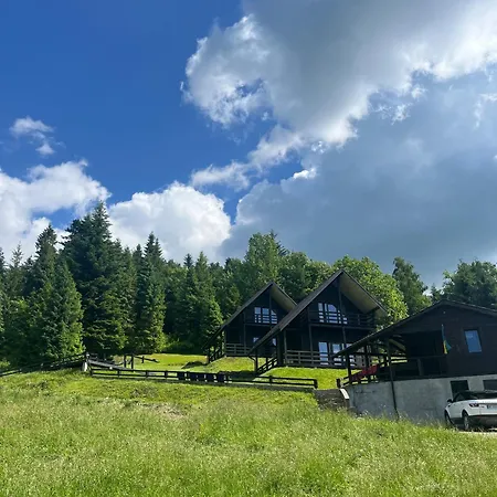 Holiday home Shepit Lisu Rosokhach